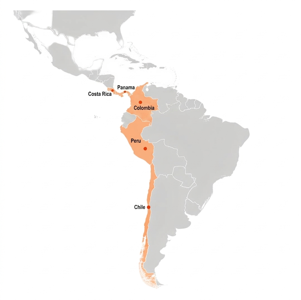 Presencia regional de Tooxs en Chile, Perú, Colombia, Costa Rica y Panamá